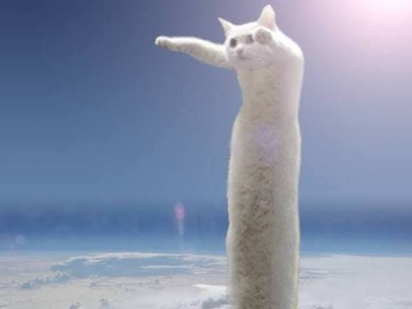 Longcat above the clouds